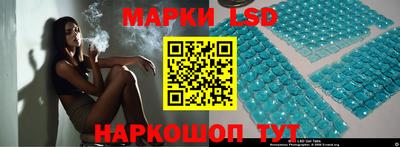 гашик Моздок