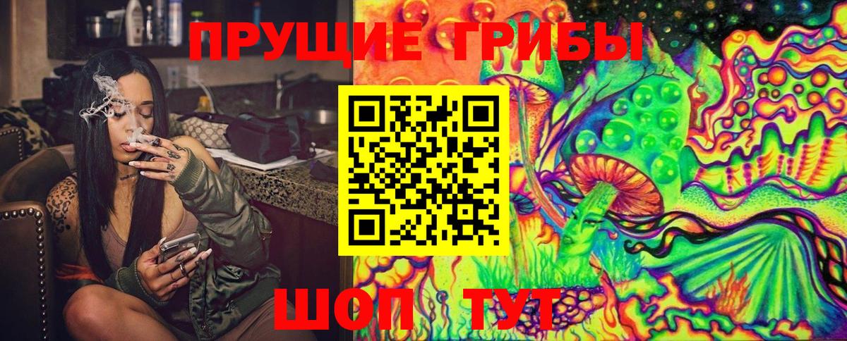 Псилоцибиновые грибы MAGIC MUSHROOMS  Вход с VPN  Сергиев Посад 